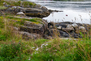 Coastal Details © RandiGrace