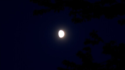 Moon on a night sky with nature silhouettes. © astrosystem