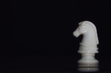 white knight chess piece © Ana Maria