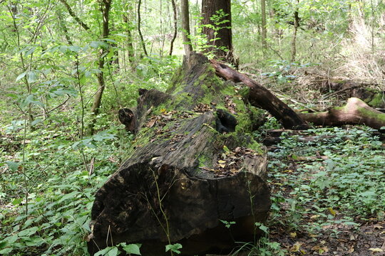 Battelle Darby Creek Metro Park 