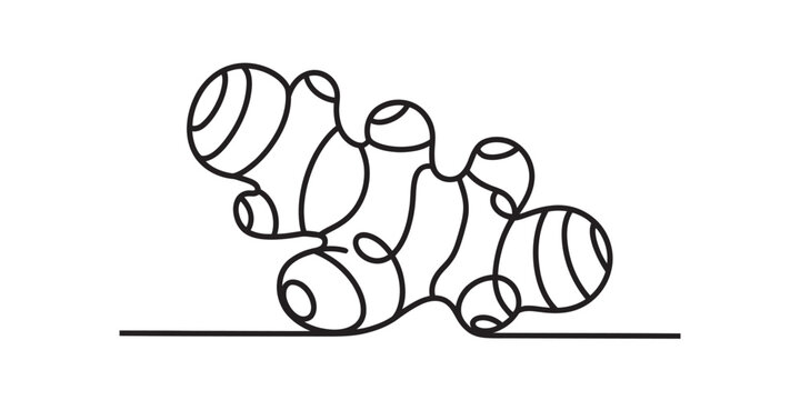Continuous single line drawing of a raw ginger root