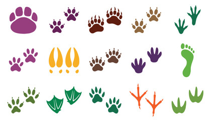 Fototapeta premium Animal paw print vector set featuring colorful tracks of wild mammal bird and human feet isolated on white background.