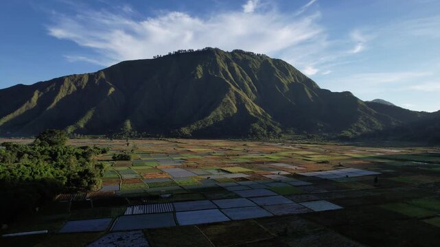Aerial View of Sembalun Valley and Mount Pergasingan with Colorful Agricultural Fields in Lombok Indonesia