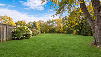 Naklejka premium Residential suburban backyard lawn with wooden fence, spacious green grass backyard landscape in autumn, residential real estate garden yard