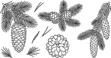 Obraz premium Pinecone Icon Set with Fir Tree Branches Needles Cedar Sprigs and Spruce Cones Winter Line Art Graphics