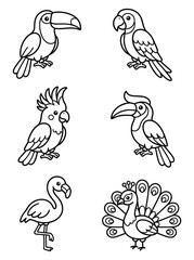 Fototapeta premium Tropical bird coloring book line art vector illustration set with toucan parrot cockatoo flamingo peacock