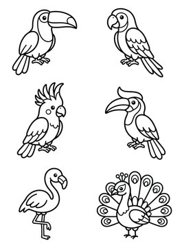 Tropical bird coloring book line art vector illustration set with toucan parrot cockatoo flamingo peacock