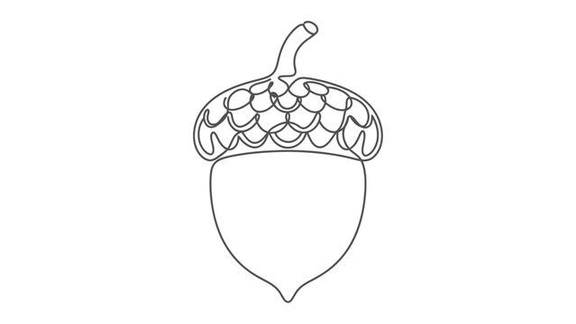 A single line drawing of an acorn, symbolizing growth and potential.
