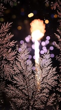 Fireworks Exploding Over Frosted Evergreen Branches, Transitioning Through Vibrant Colors and Light Trails. with Winter