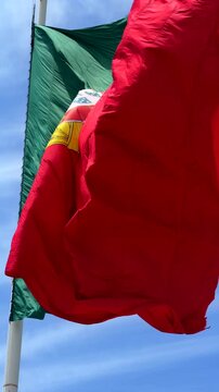 Low-angle view of national flag fluttering in strong wind, red and green fabric with central yellow emblem and partial white shield, waving across bright blue sky with soft clouds