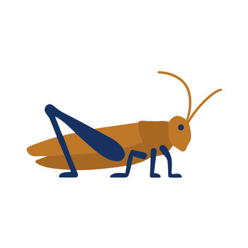 Illustration of a stylized grasshopper