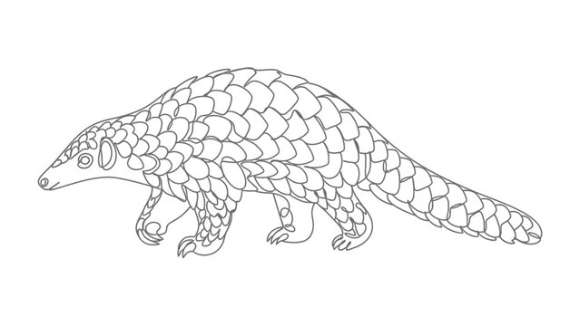 Pangolin Illustration: A simple, stylized line drawing of a pangolin, showcasing its unique scaled armor, walking with a gentle demeanor.
