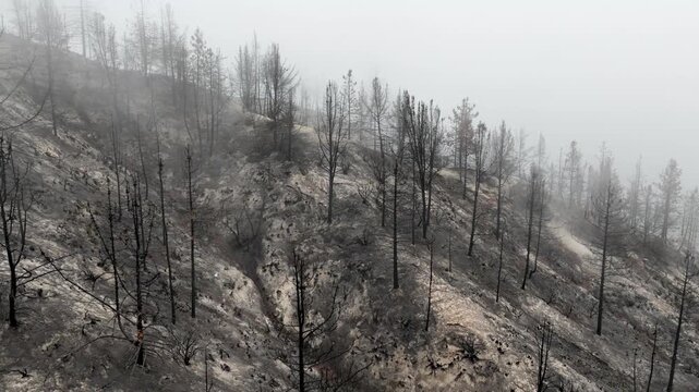 Aerial of a burnt mountainside from a recent wildfire. Near Los Angeles California.