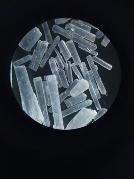 Microscopic view of monosodium glutamate (MSG) crystals showing elongated crystalline structures