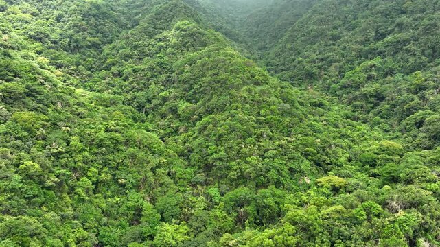 Aerial of the forest covered mountains on the east coast of Taiwan.