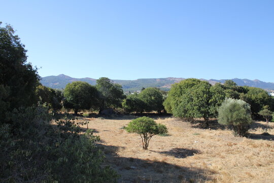 Landschaft auf Kos