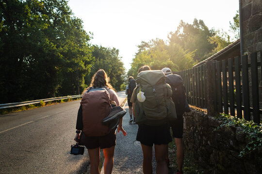 Golden light on the Camino trail