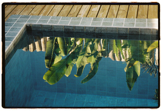 Palm Reflections in a Pool