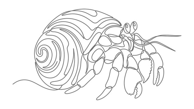 Hermit Crab in Shell: A single-line drawing depicts a hermit crab meticulously detailed with its distinctive shell and claws, an elegant representation of marine life and adaptation.
