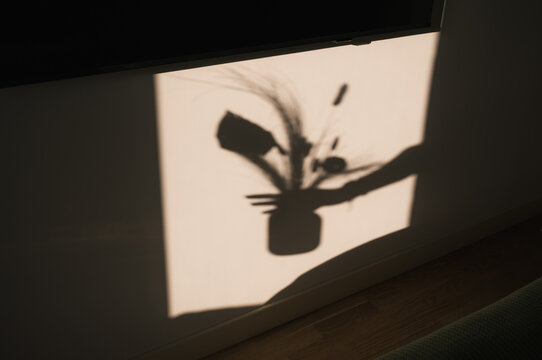 Flower Pot Shadows