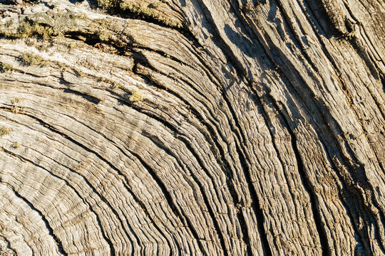 Weathered Wood Grain Texture