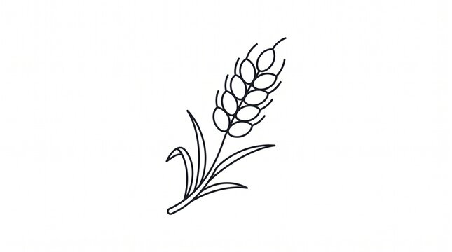 Minimalist wheat stalk line icon isolated on a white background