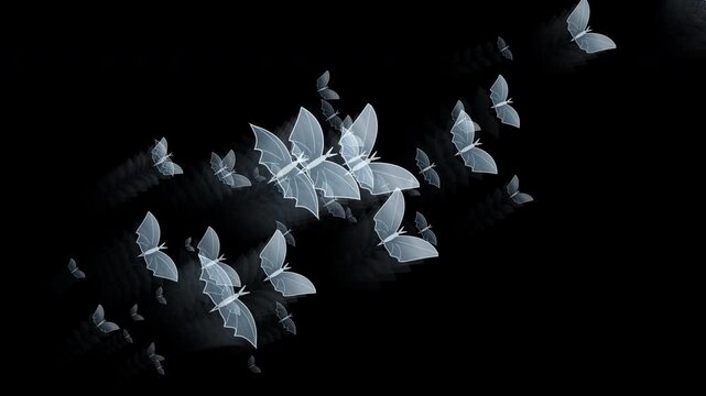 Halloween animated background loop with spooky flying moths