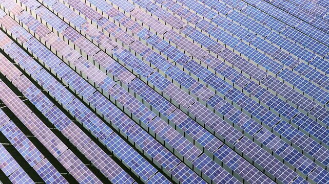 High angle full frame shot shows vast blue solar panel array generating clean photovoltaic energy on bright day.