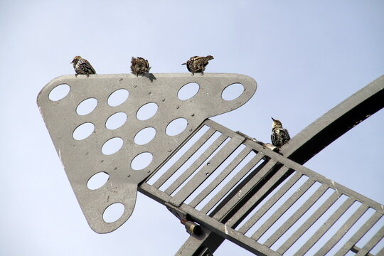 Der Semaphor in Cuxhaven