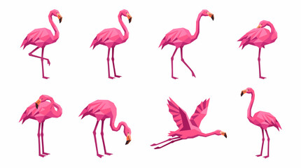 Fototapeta premium A collection of eight vibrant pink flamingos depicted in various poses, including standing, preening, and flying, against a clean white background.