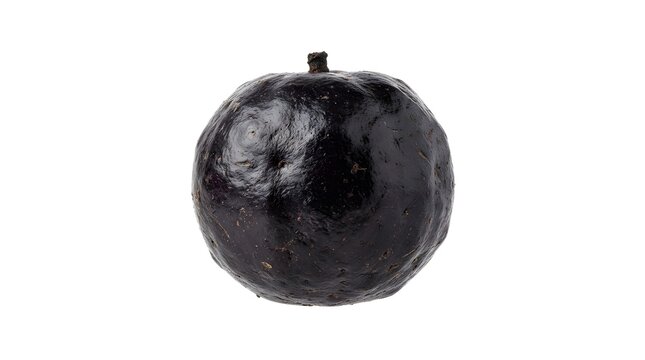 Single Fresh Jabuticaba Fruit Isolated on White Background, Brazilian Grape Tree Berry with Dark Purple Skin for Healthy Food and Diet Concepts