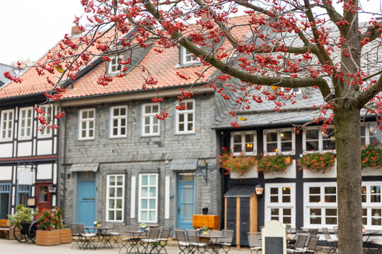 Historic Goslar street features traditional half-timbered houses, slate facades and red rowan berries in autumn. Charming old town architecture creates scenic German travel atmosphere for tourism