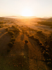Obraz premium An aerial view of a herd of cattle grazing on a dry pasture at sunset with warm golden light spilling over the hills
