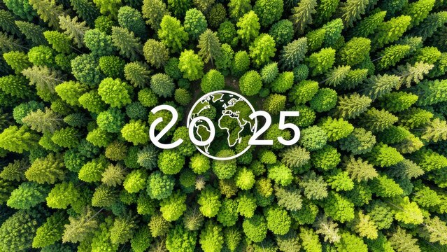 aerial view of lush green forest canopy symbolizing environmental health and future sustainability goals for climate action marketing
