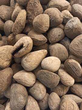 Top view full frame texture background of raw pangium edule or keluwak nuts