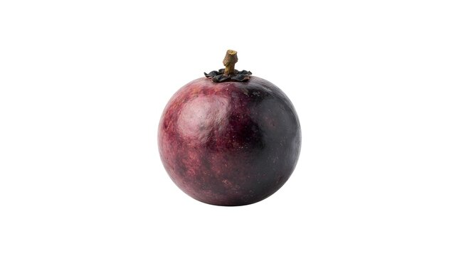 Single Ripe Bignay Fruit Isolated on White Background, Antidesma Bunius Tropical Berry for Healthy Diet and Culinary Use, Studio Photography