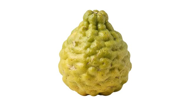Single fresh bergamot fruit with textured bumpy skin isolated on white background, citrus bergamia for culinary, cosmetic and essential oil use