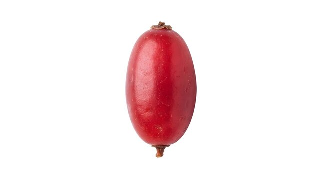 Single ripe red barberry fruit isolated on white background, macro studio shot of fresh Berberis berry for healthy food and culinary concept