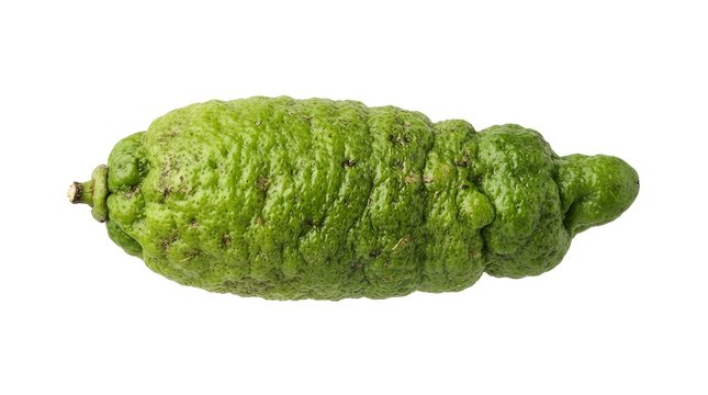 Australian native lime fruit - High Quality Modern Digital Asset for Design and Commercial Concept
