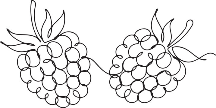 Two raspberries in continuous line art drawing style. one line art icon drawing