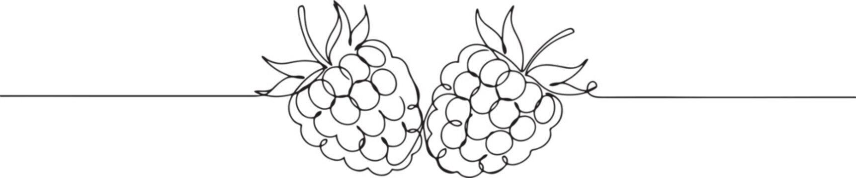 Two raspberries in continuous line art drawing style. one line art icon drawing