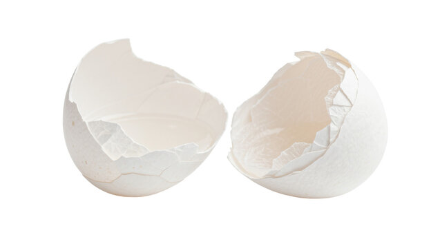 Two broken white eggshells one empty and one with remnants, isolated on transparent background