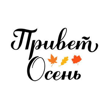 Hello autumn calligraphy lettering in Russian. Inspirational fall quote Cyrillic inscription. Vector template for typography poster, banner, shirt design, mug, etc.