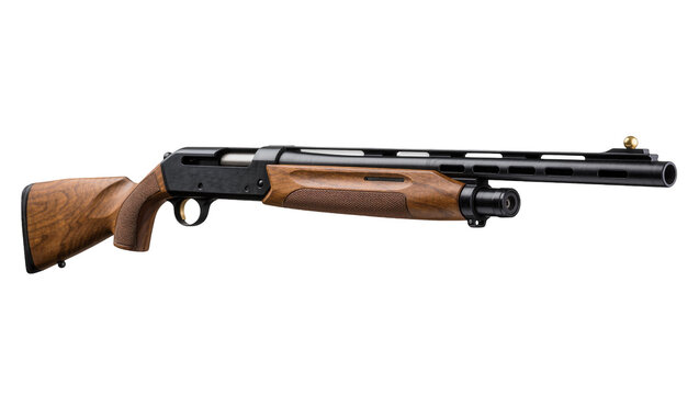 Wooden stock shotgun with black metal barrel and forend, isolated on transparent background