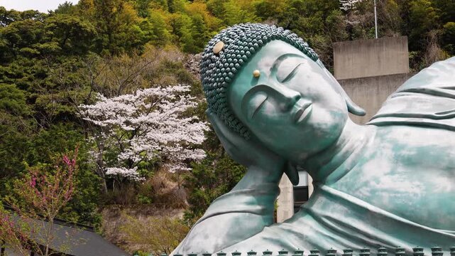 Reclining Buddha giant bronze statue at Nanzoin Temple in Sasaguri, Japan, Kasuya district, Fukuoka Prefecture, Kyushu Island, with cherry blossoms and bamboo forest on spring day, peaceful landscape