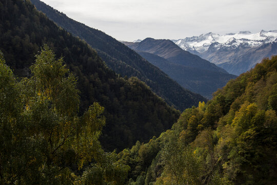 Paisaje de bosque oto&ntilde;al y monta&ntilde;as nevadas.