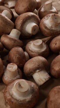 closeup of champignon mushrooms zoom food background