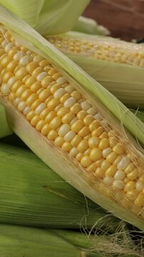 ripe sweet corn on cob top view food