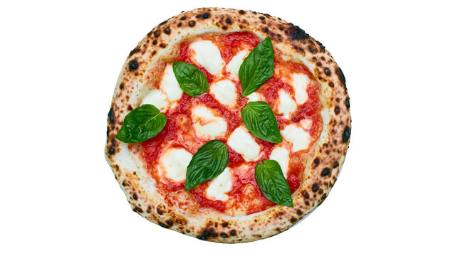 Neapolitan pizza with fresh mozzarella tomato sauce and basil leaves, isolated on transparent background