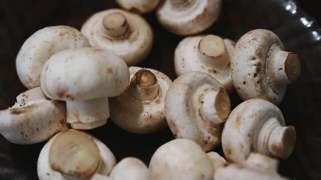 Close-Up Zoom on Fresh White Button Mushrooms